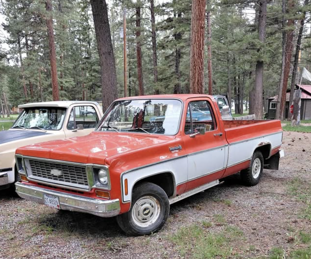 1973 Chevrolet C10 Custom Deluxe - For sale in Lincoln, MT image