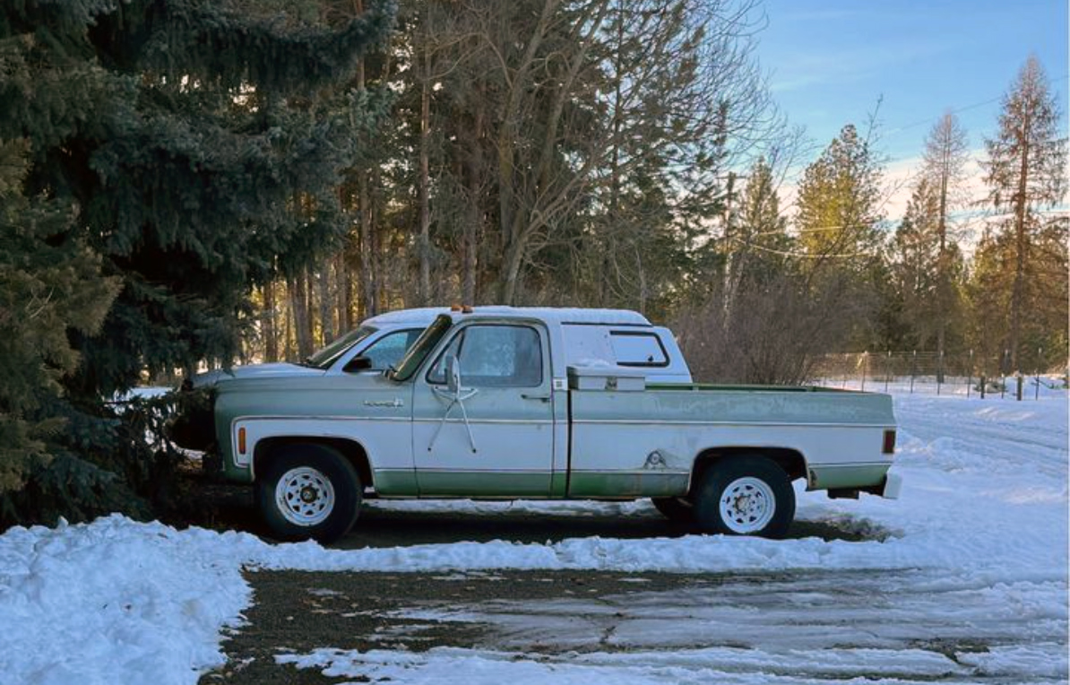 1973 Chevrolet C20 photo